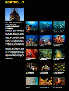 Sport Diver