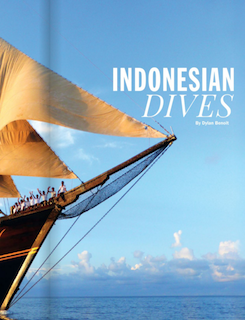 Sport Diver